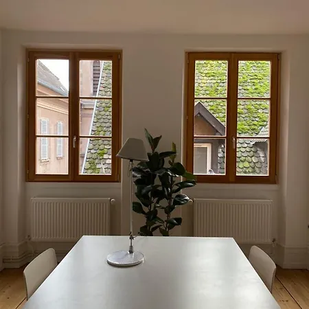 Grand Rue, Ambiance Annee 1540 Apartment Strasbourg